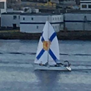 Meet your Posher, Sharon